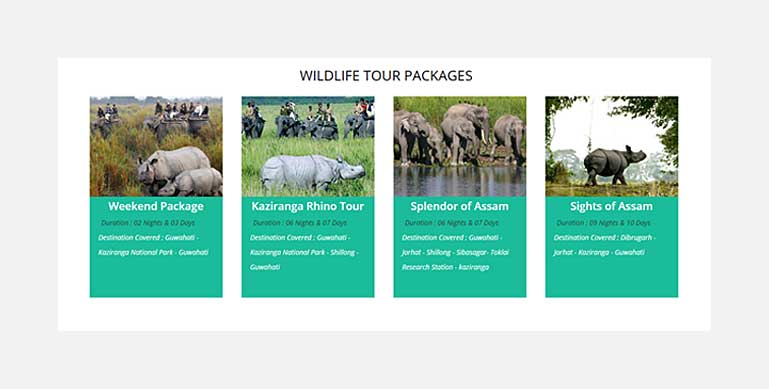 tour packages for Kaziranga tour India