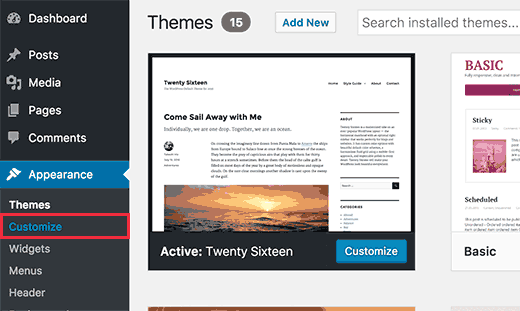 Themes > Customize page
