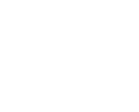 WordPress Developer Working on Website Development Illustration